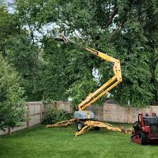 Reliable Coldstream, OH Tree Services Solutions