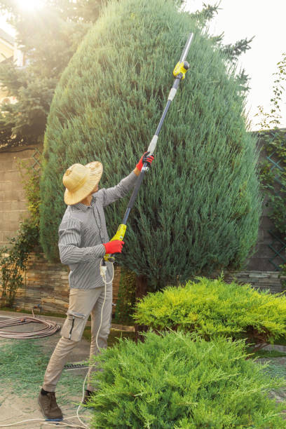 Leaf Removal in Coldstream, OH